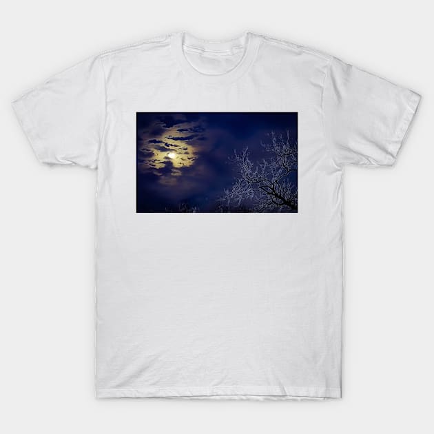 New Year Moon - Graphic T-Shirt by davidbstudios